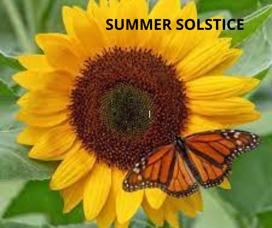 Newsletter June 2021 - Summer Solstice